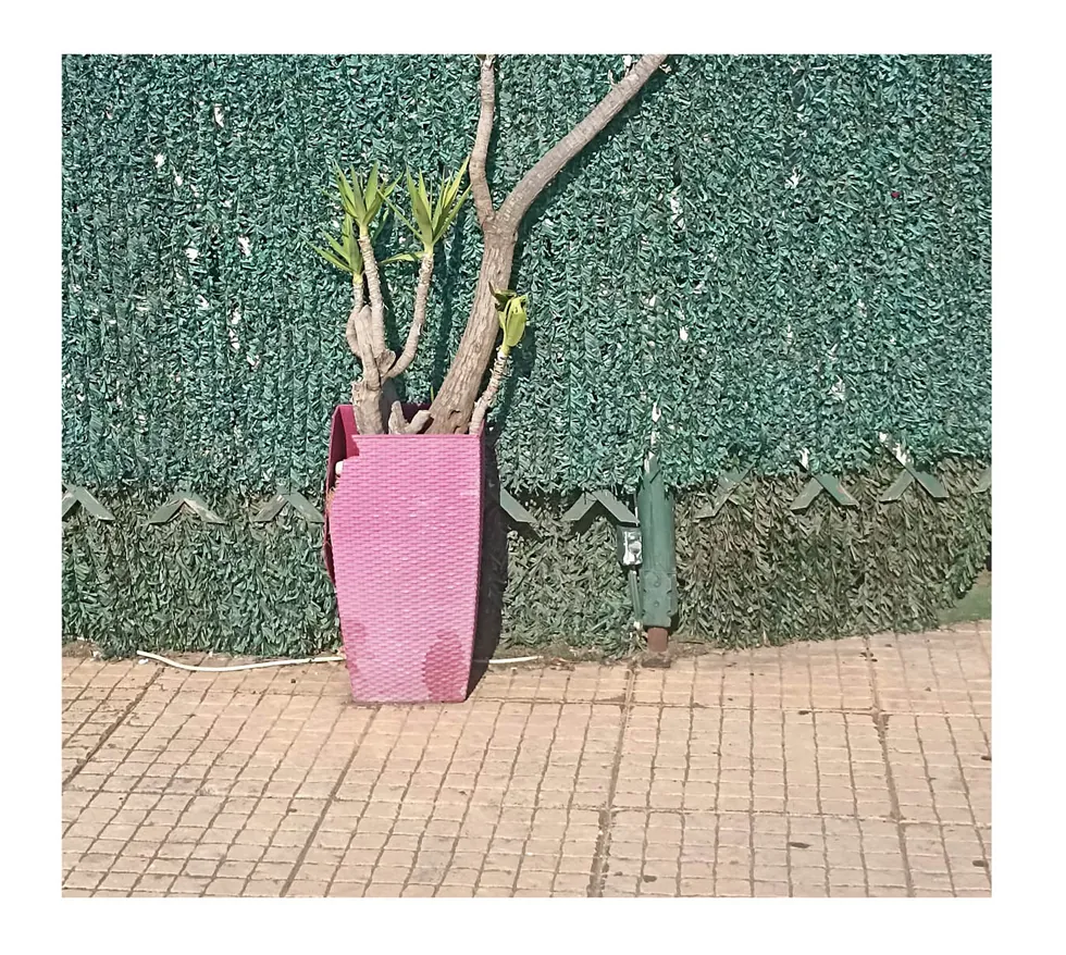 Intervals — photograph 11