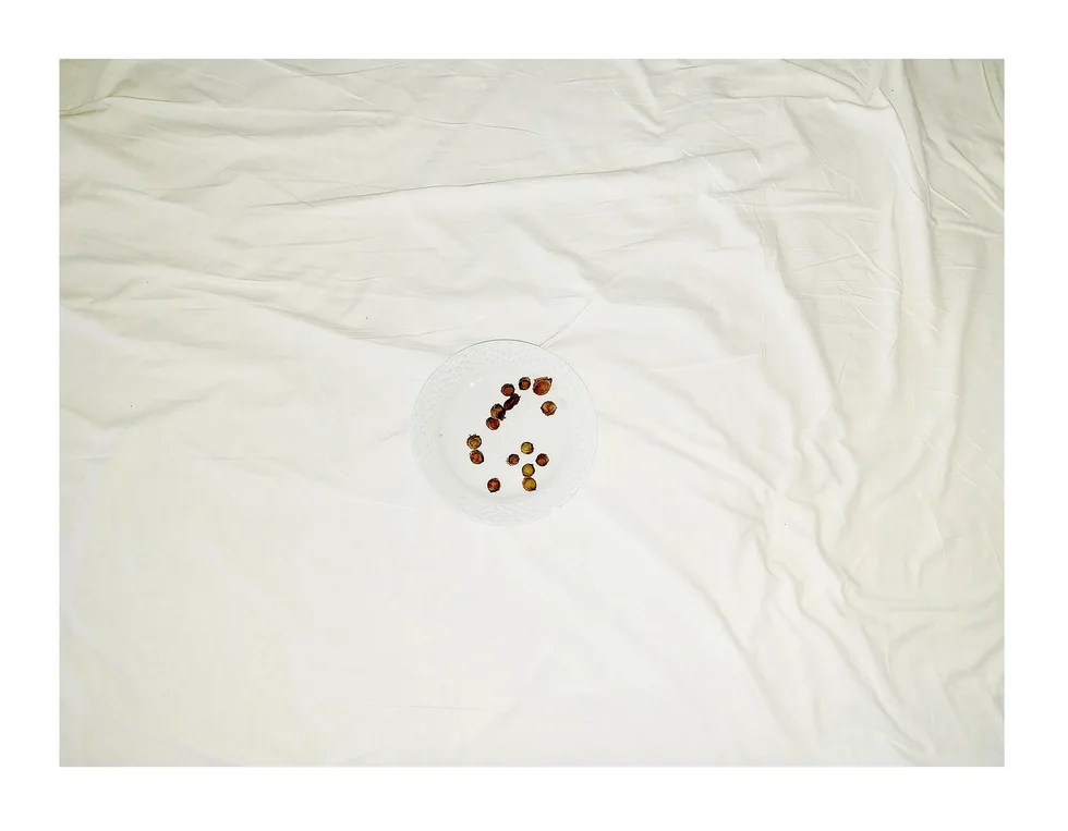 Minor Events — photograph 6