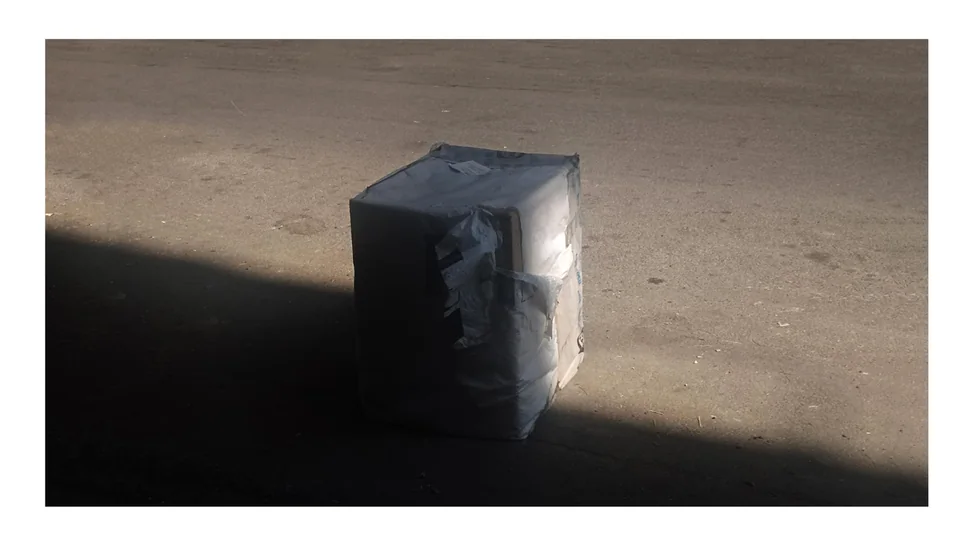 Minor Events — photograph 14