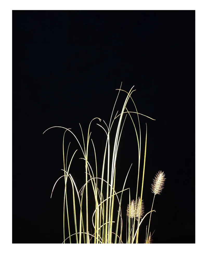 Afterimages — photograph 4