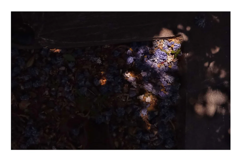 Afterimages — photograph 13